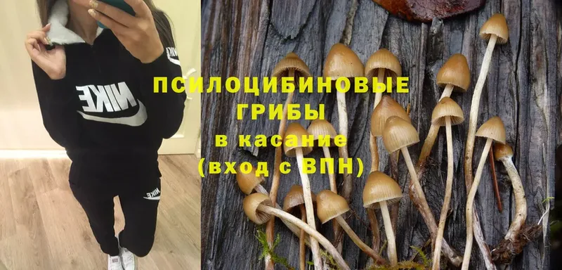 Псилоцибиновые грибы MAGIC MUSHROOMS Майский